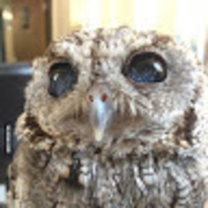 Meet your Posher, Da